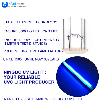لامپ ضد عفونی کننده UVC CE ROHS FCC Glass T8 10W UV دیواری